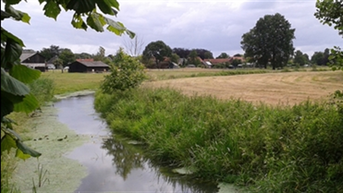 baakse beek bij vorden index